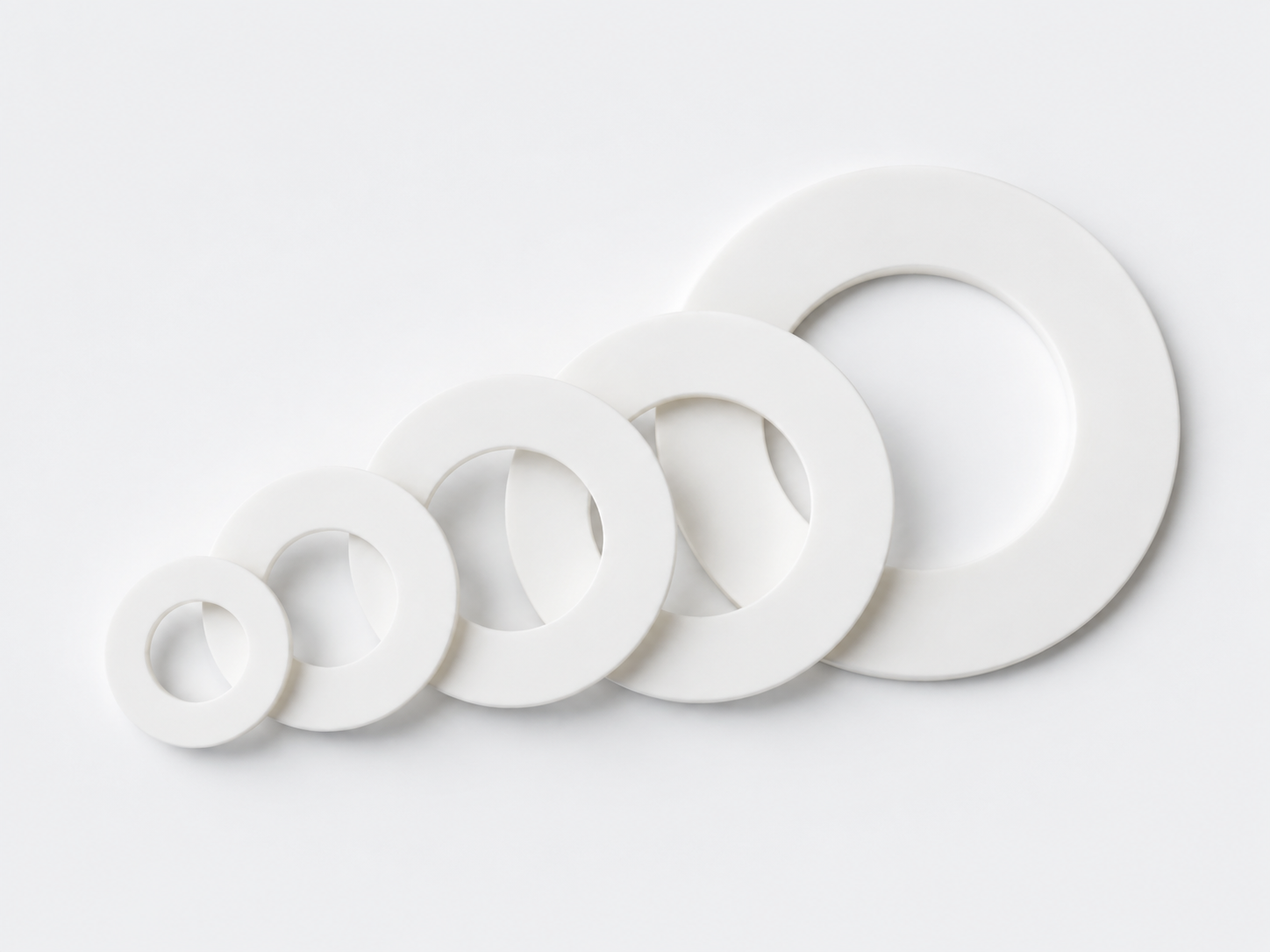 PTFE Gasket 4