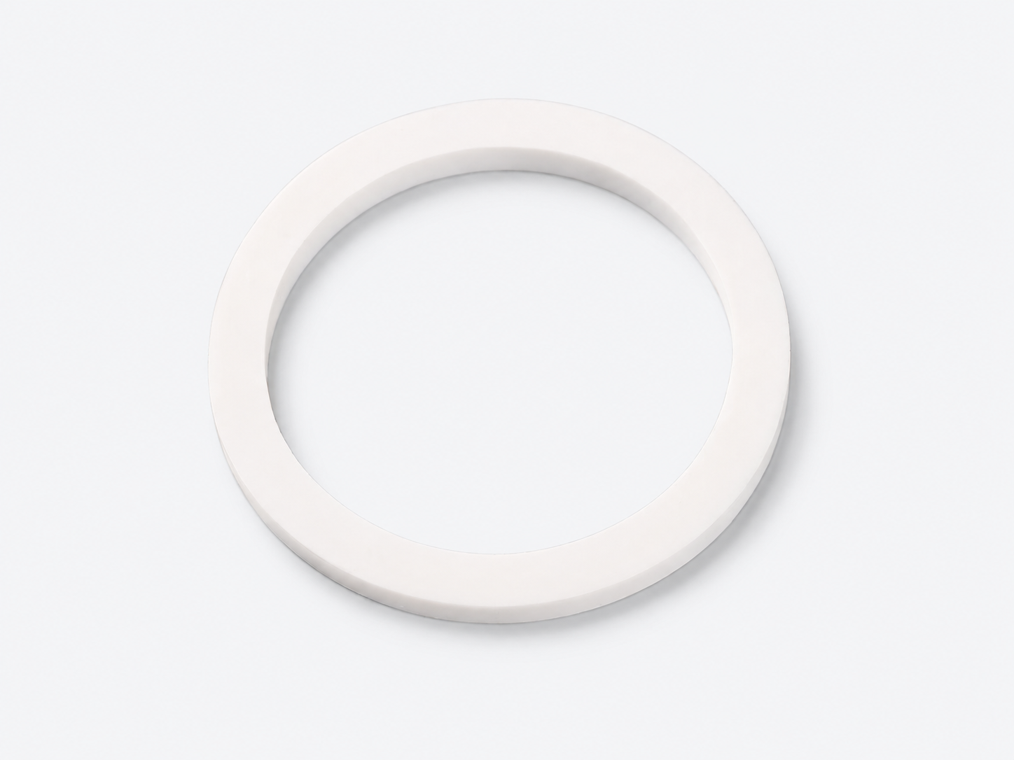 PTFE Gasket 1